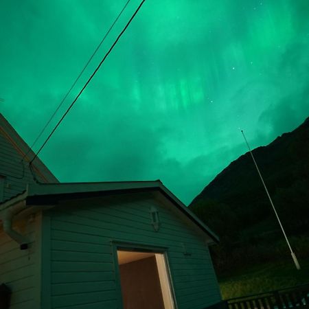 极光民宿northern Lights Laksvatn Dış mekan fotoğraf